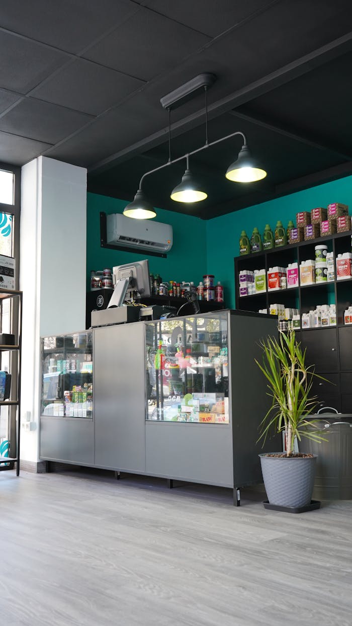 Contemporary gardening shop with shelves of organic products and accessories.